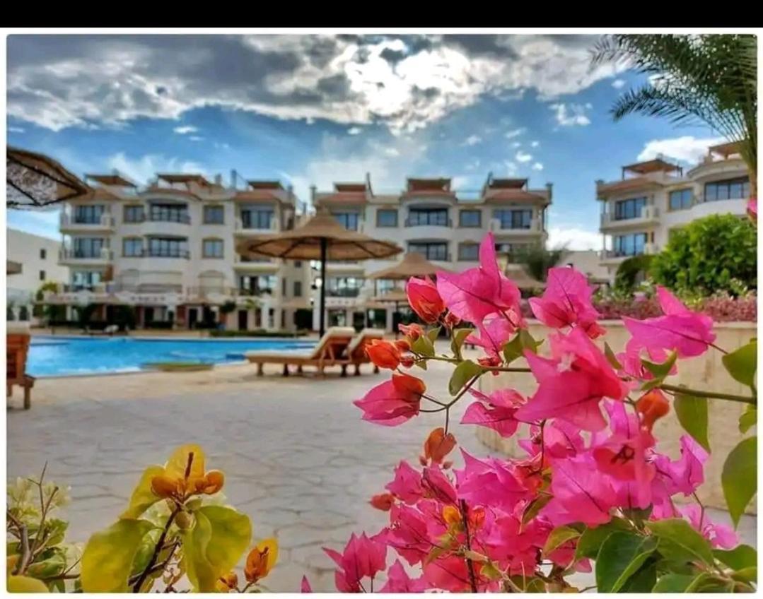 Sharm Hills Sharm El Sheikk Exterior foto